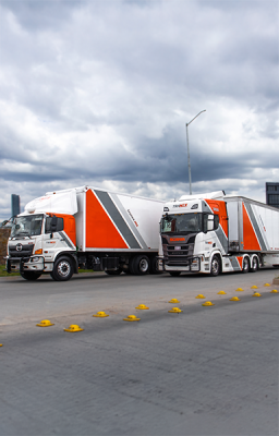 Renta de unidades por proyecto semana o temporada